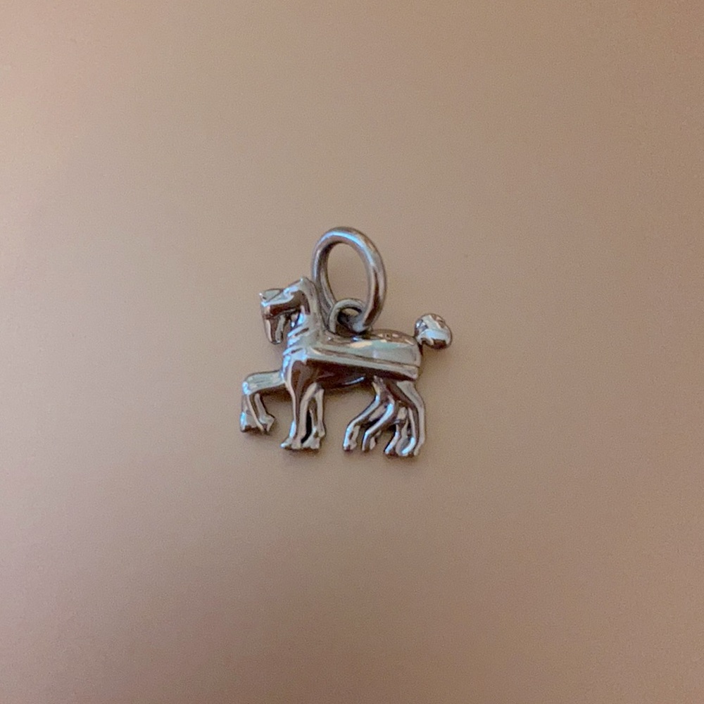 Coach horse charm